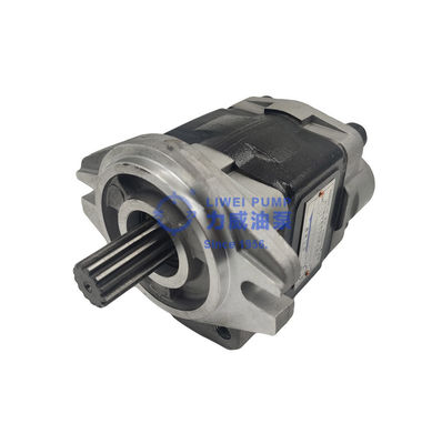 Sejak 1956 Pompa Hidrolik Suku Cadang Forklift Merek Hewei 91E71-10200 69101-FK281